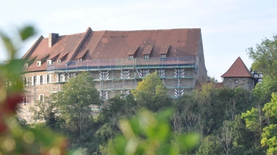 Ipsheim feiert die beliebte Maienkirchweih! (Foto: Hans-Bernd Glanz)