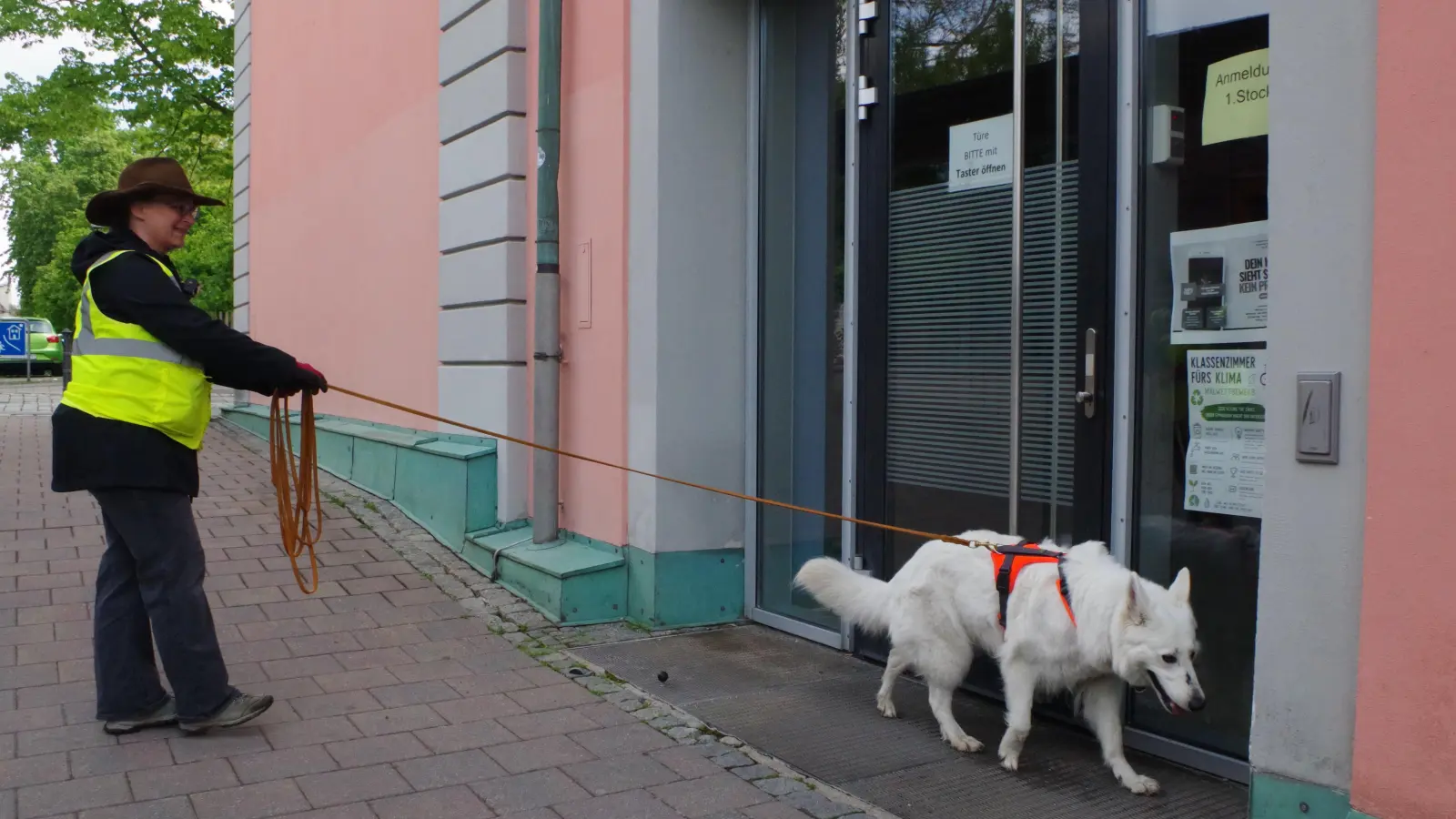 Die weiße Schäferhündin Paula hat die Spur aufgenommen, die sie zum Ziel, dem Gymnasium Carolinum, führt. (Foto: Jannic Hofmuth)