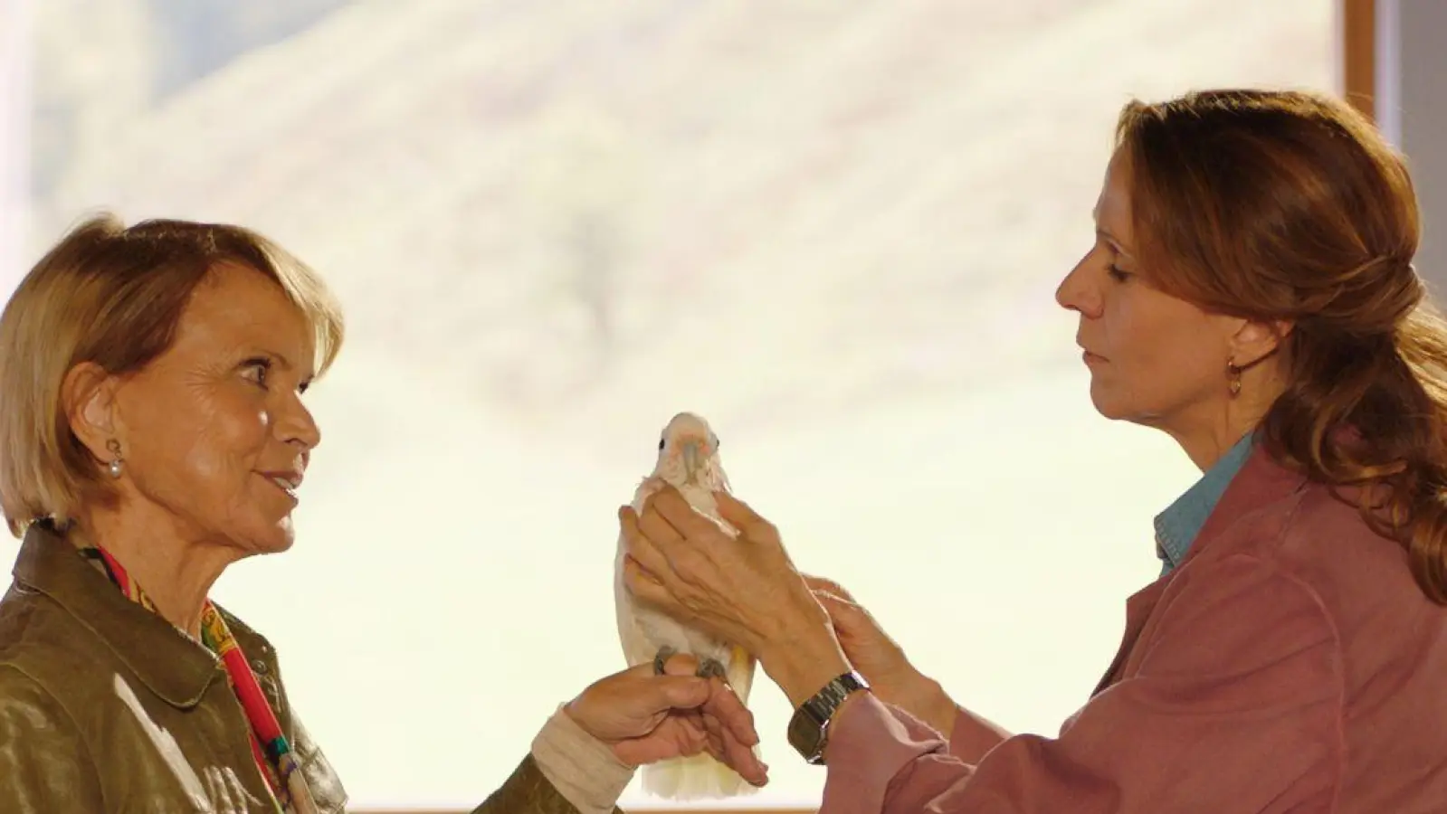 Uschi Glas als Gerlinde Patt und Doris Schretzmayer als Tierärztin Dr. Johanna Maiwald in einer Szene der Serie „Die Maiwald“. Die Episode „Beziehungsweise“ steht jetzt im ZDF-Streamingportal und wird am 2. April im ZDF ausgestrahlt. (Foto: Florian Licht/ZDF/dpa)