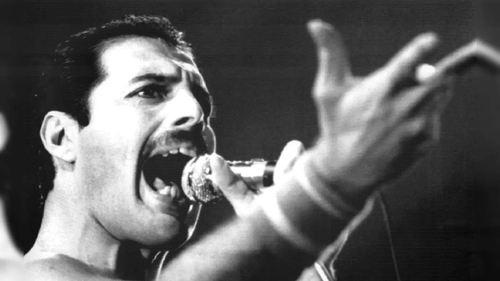 Freddie Mercury gilt als einer der legendärsten Live-Performer der Musikgeschichte. (Archivbild) (Foto: dpa)