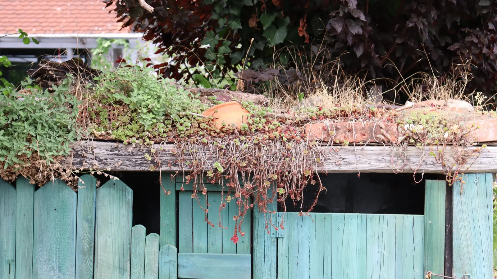 Über den Mülltonnen: Die kleinsten Flächen werden begrünt. (Foto: müa)