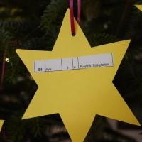 Zusammen mit dem Kinderschutzbund und mit einem weiteren Wunschsternenbaum in Bad Windsheim startet wieder die Aktion „Wunschsternenbaum”. (Foto: Freiwilligenzentrum "mach mit!")