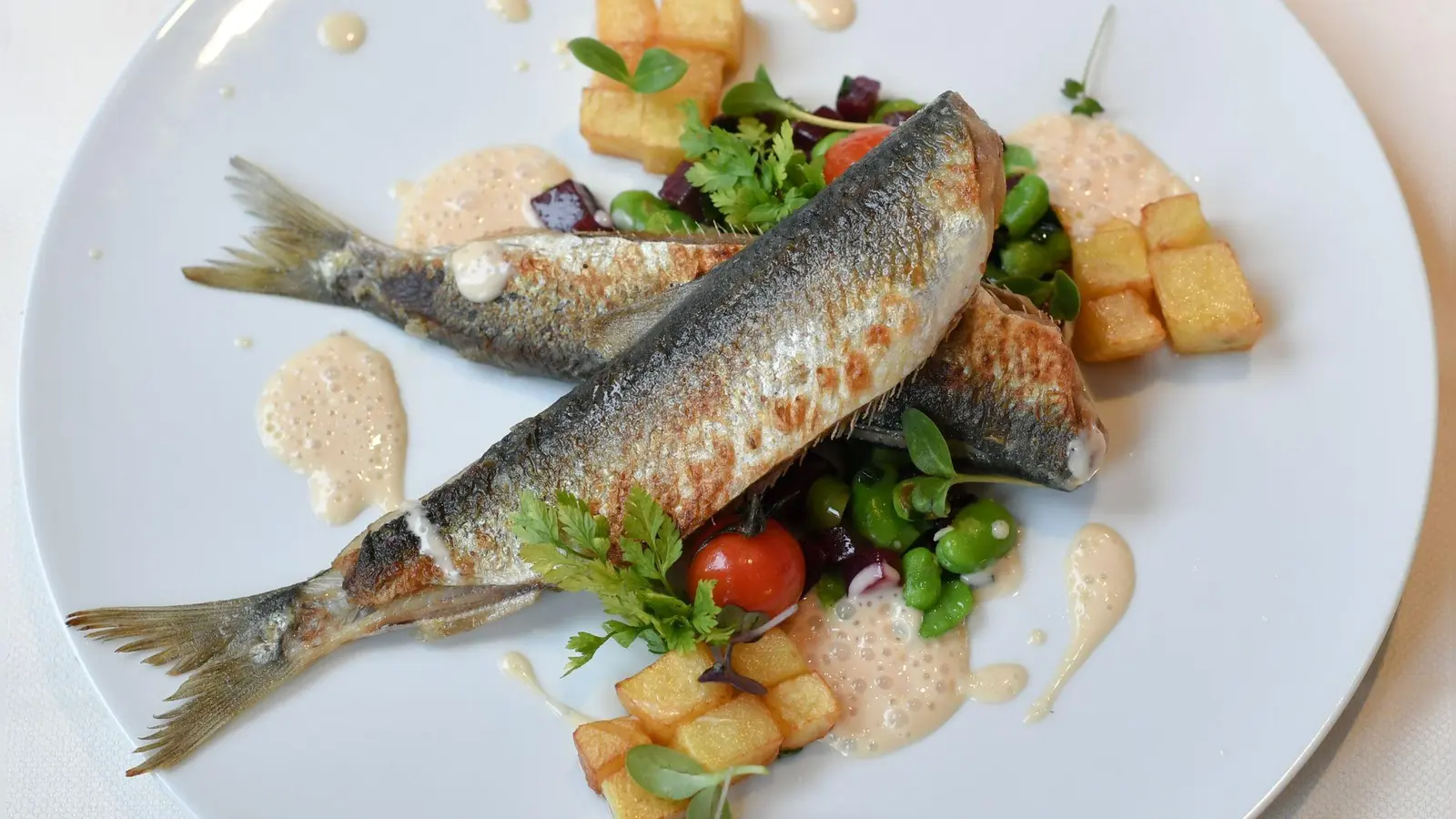 Ganz ohne Panade, dafür mit Röstaromen kann gebratener Hering mit feinen kleinen Beilagen serviert werden, hier mit Favabohnen, Rote Bete und gewürfelten Risoleekartoffeln.  (Foto: Jens Kalaene/dpa-Zentralbild/dpa-tmn)