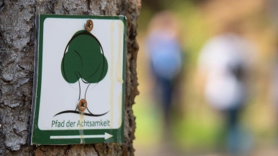 Hier geht&#39;s lang: Wegweiser des „Pfad der Achtsamkeit“ im Spessart. (Foto: Andreas Drouve/dpa-tmn)