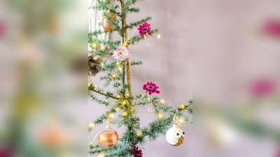 Wer es bunt am Baum mag, kann auch Chrysanthemen an die Zweige hängen. Dafür braucht man nur Bindfaden und Blumenröhrchen. (Foto: Styled by Sabine für JustChrys.com/dpa-tmn)