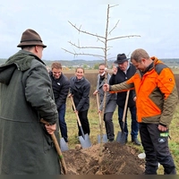 Eine Wildbirne hatte das Amt für Ländliche Entwicklung nach Scheinfeld mitgebracht. Beim Pflanzen zum Spaten griffen dabei (von links) Fürst Johannes zu Schwarzenberg, von diesem verdeckt Bundestagsbgeordneter Tobias Winkler, Bürgermeister Theodor Schell, Anja Emmerich-Marwan, Landtagsabgeordneter Werner Stieglitz und ALE-Leiter Wolfgang Neukirchner, unterstützt von Stadtbauhof-Mitarbeiter Matthias Weiner. (Foto: Amt für Ländliche Entwicklung Mittelfranken)