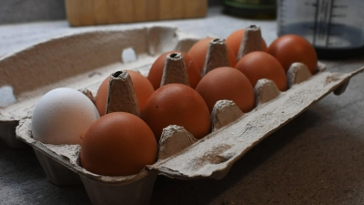 Mit rohen Eiern bewarf eine bisher unbekannte Person die Fassade eines Einfamilienhauses in Dinkelsbühl. (Symbolbild: Luca Paul)
