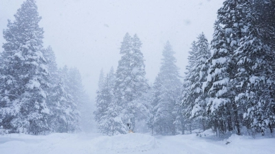 Acht zuvor vermisste Skifahrer sind nach dem Lawinenabgang tot gefunden worden - hieß es von den örtlichen Behörden. (Foto: Brooke Hess-Homeier/AP/dpa)