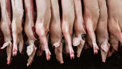 Die Schlachtmenge bei Schweinefleisch steigt um 1,9 Prozent. (Archivbild) (Foto: Mohssen Assanimoghaddam/dpa)