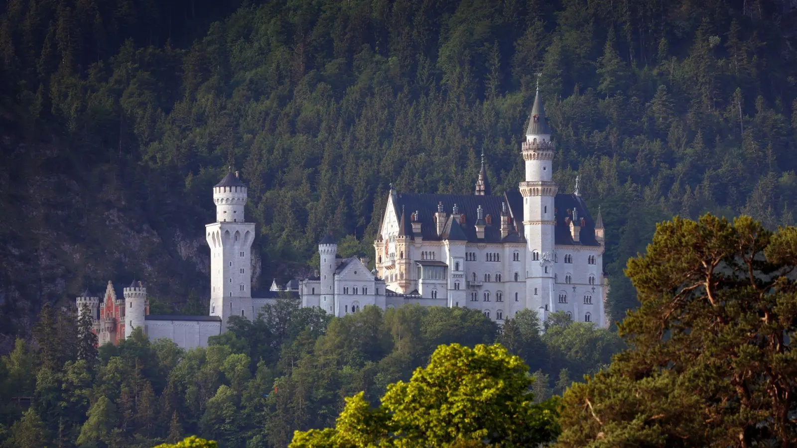 Seit einem Jahr Unesco-Weltkulturerbe: Schloss Neuschwanstein.  (Foto: Karl-Josef Hildenbrand/dpa)