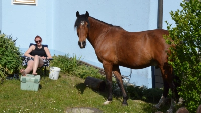 Wenn ein Pferd im Vorgarten steht: In der Albert-Schweitzer-Straße genießen Julia Braun und ihr Wallach Ginny den Frühling. (Foto: Yvonne Neckermann)