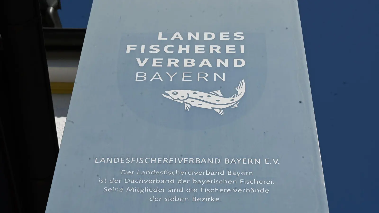 Die Präsidenten der Bezirksverbände des Landesfischereiverbandes wollen den amtierenden Präsidenten abberufen.  (Foto: Florian Diettrich/dpa)