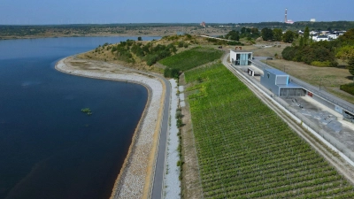 Die Weinberge vom Unternehmen Weinbau Wobar an den IBA-Terrassen am Großräschener See. Auf dem Weinberg an den IBA-Terrassen wachsen seit 2012 Rebstöcke in drei verschiedenen Sorten. (Foto: Patrick Pleul/dpa)