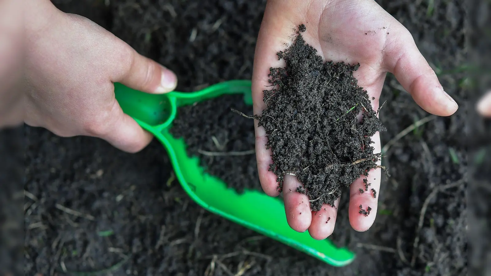 Klebrig? Formbar? Haftend? Die Fingerprobe kann Hinweise auf die Bodenart geben. (Foto: Patrick Pleul/dpa/dpa-tmn)