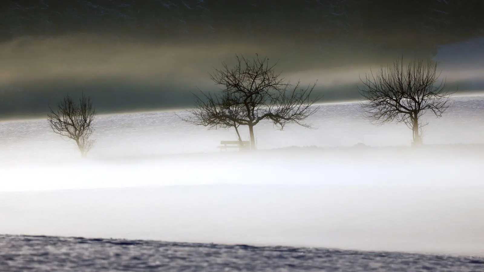 Mild und trüb soll es in Bayern am Wochenende werden. (Symbolbild) (Foto: Karl-Josef Hildenbrand/dpa)