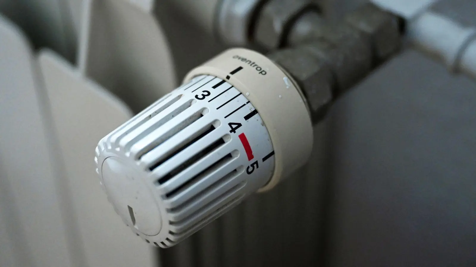 Wer trägt die Kosten durch den steigenden CO2-Preis? Der WWF hat Ideen. (Symbolfoto)  (Foto: Elisa Schu/dpa)