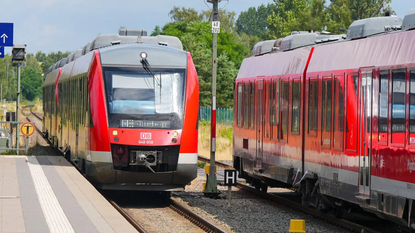 Für jede Zugfahrt fällt in Deutschland eine sogenannte Schienenmaut an. Für den Nahverkehr könnte diese deutlich steigen - eine Klage soll das nun verhindern. (Archivbild) (Foto: Soeren Stache/dpa)