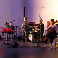 Miriam Hanika und ihre Band verliehen den Schlosshofkonzerte einen würdigen Schlusspunkt. Die gewohnte Abwechslung der Reihe wird damit perfekt widergespiegelt. (Foto: Rüdiger Pfeiffer)
