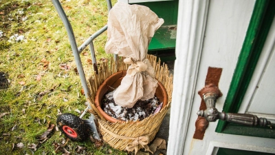 Temperaturschwankungen im März: Wird es wieder kälter, müssen kälteempfindliche Pflanzen erneut eingepackt oder reingeholt werden. (Foto: Christin Klose/dpa-tmn)