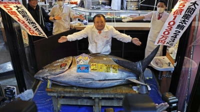 Für den Betreiber einer Sushi-Restaurantkette ist der gezahlte Rekordpreis eine geschickte PR-Aktion. (Foto: -/kyodo/dpa)