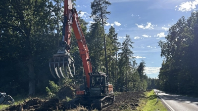 Die Vorarbeiten zum Bau des Radweges sind in vollem Gange. Baumstümpfe und nachwachsende Vegetation wurden in der Waldpassage entfernt. (Foto: Florian Pöhlmann)