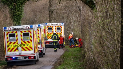 Drei Menschen sterben in einem Waldstück südöstlich von Flensburg. (Foto: Benjamin Nolte/dpa)