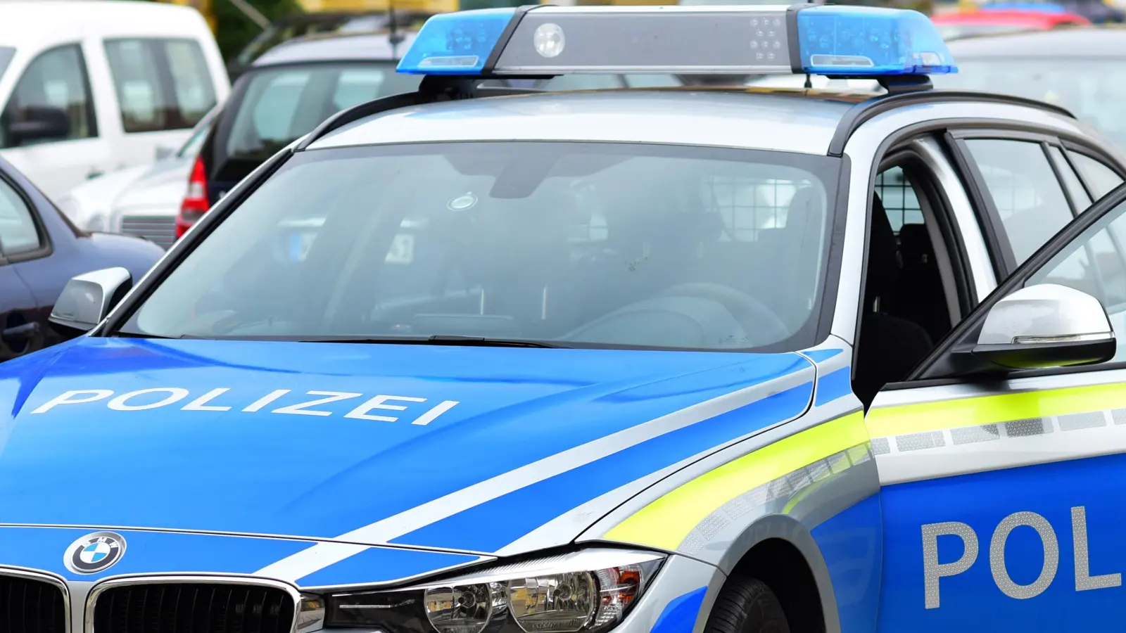 Eine Streife der Neustädter Polizei stoppte den Fluchtversuch eines 18-jährigen Autofahrers. (Foto: James Edward Albright Jr)