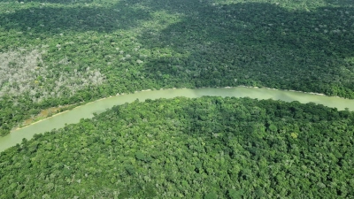 Gute Nachrichten für den Regenwald: Weniger Fläche abgebrannt. (Archivbild) (Foto: Larissa Schwedes/dpa)