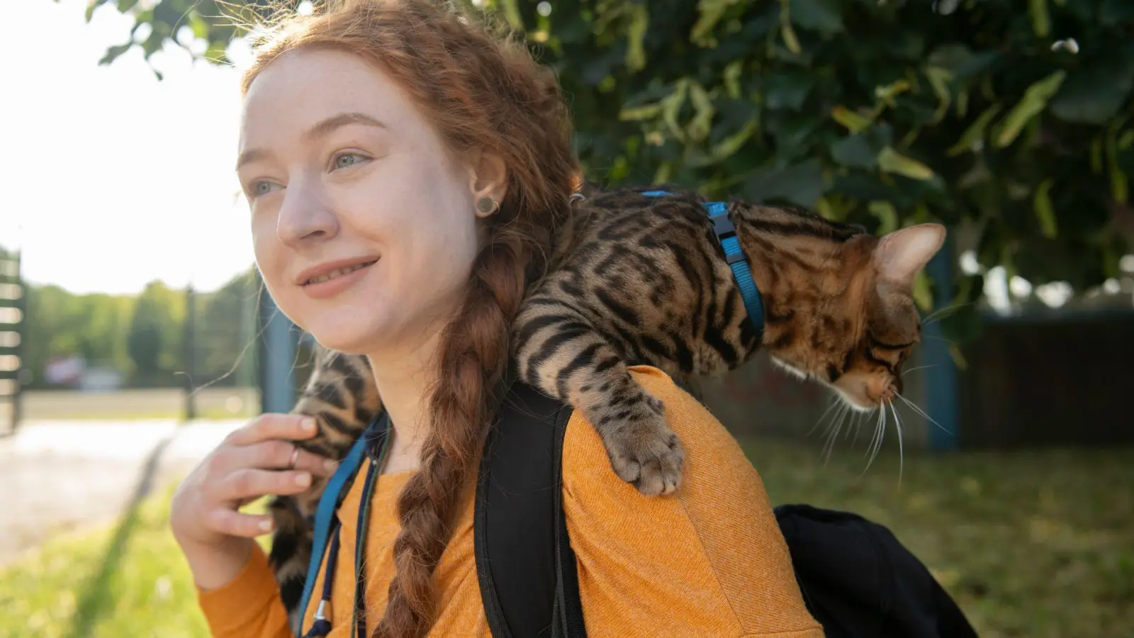 Aktuell werden immer mehr Katzen an der Leine durch Großstadtstraßen geführt. (Archivbild) (Foto: Paul Zinken/dpa)