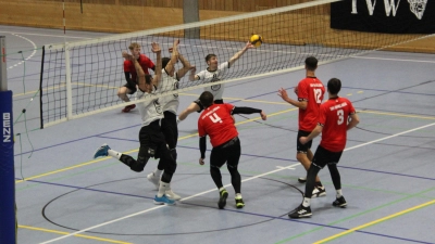 Die TVW-Volleyballer mit Felix Dachlauer, Hannes Reuter und Tim Baltrusch (in weiß von links) haben ihr Saisonziel erreicht. (Foto: Frank Wiemer)