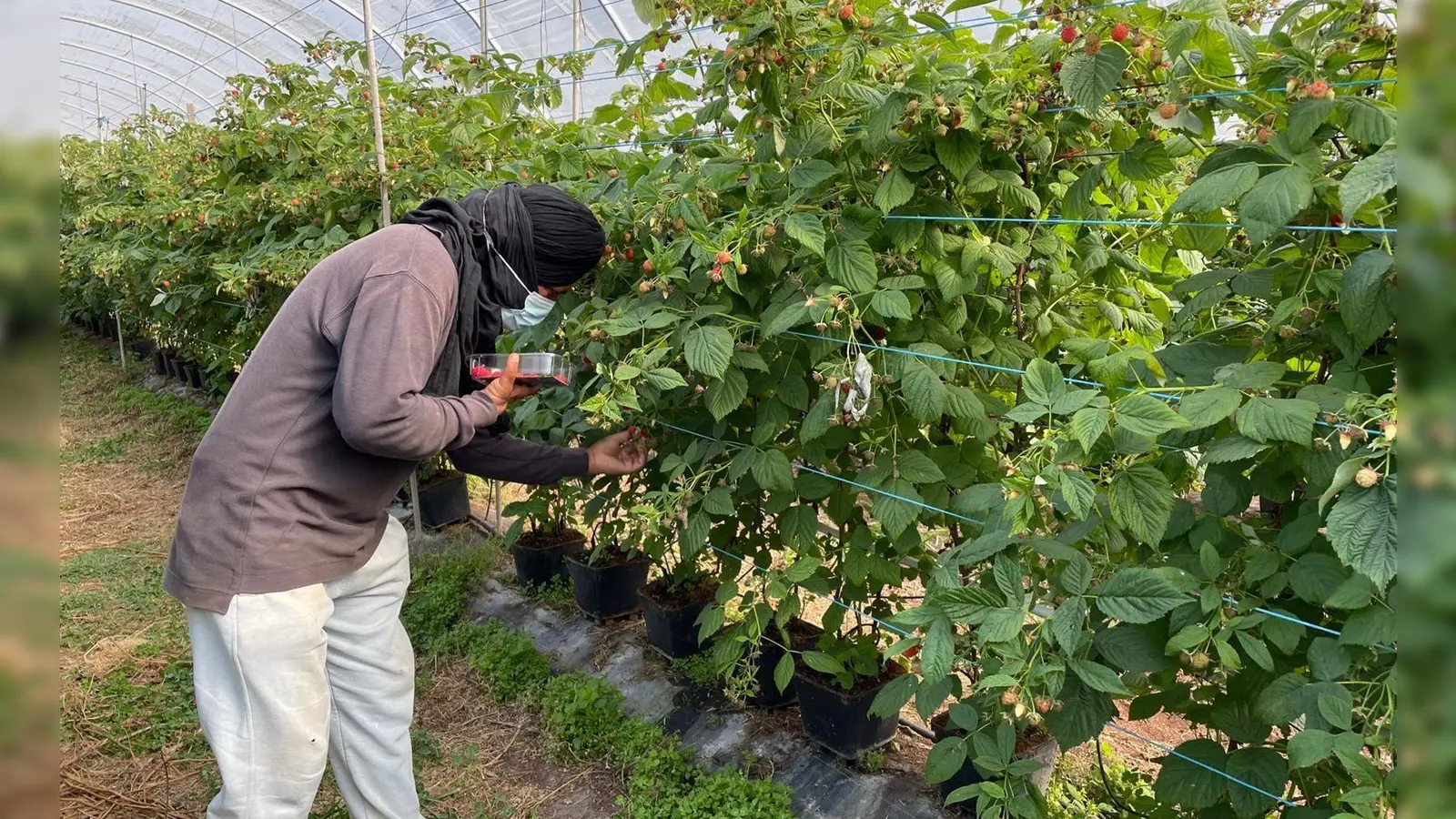 Die befreiten Migranten wurden laut Polizei oft geschlagen.  (Foto: -/Portugiesische Kriminalpolizei Polícia Judiciária PJ/dpa)