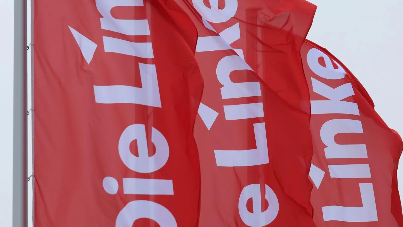 Fahnen der Partei Die Linke wehen im Wind. (Foto: Karl-Josef Hildenbrand/dpa)