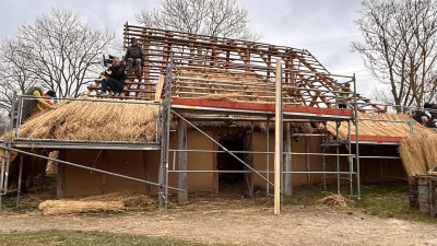 Helfer des Bundesfreiwilligendienstes, Mitarbeiter des Bauhofs, Freiwillige und ein Strohdachexpertenteam aus Oberfranken deckten das Dach des Firstpfostenhauses im Freilandmuseum. (Foto: Max Fichtner)