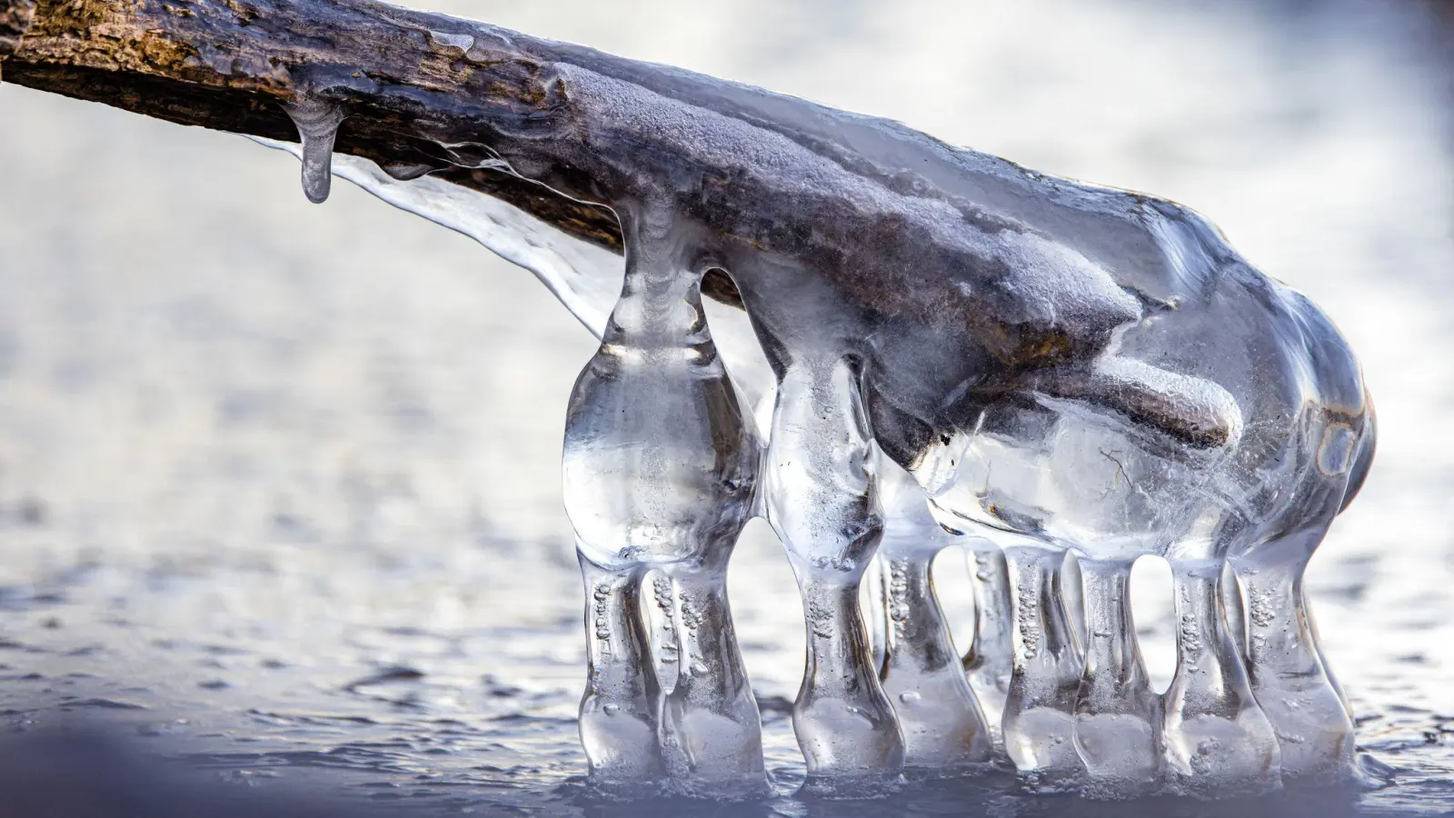 Kleine Eisstrukturen haben sich nach zwei sehr kalten Nächten am Ufer der Talsperre Spremberg gebildet. (Foto: Frank Hammerschmidt/dpa)
