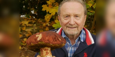 Fast ein Kilo brachte dieser Steinpilz nach der Ernte auf die Waage. So etwas ist Hermann Klein in mindestens 60 Jahren In-die-Pfiffer-Gehen noch nicht untergekommen. (Foto: Ulli Ganter)