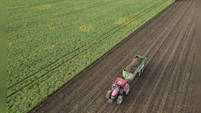 Die Preise für viele Agrarprodukte sind derzeit unter Druck. (Archivbild)  (Foto: Jan Woitas/dpa)