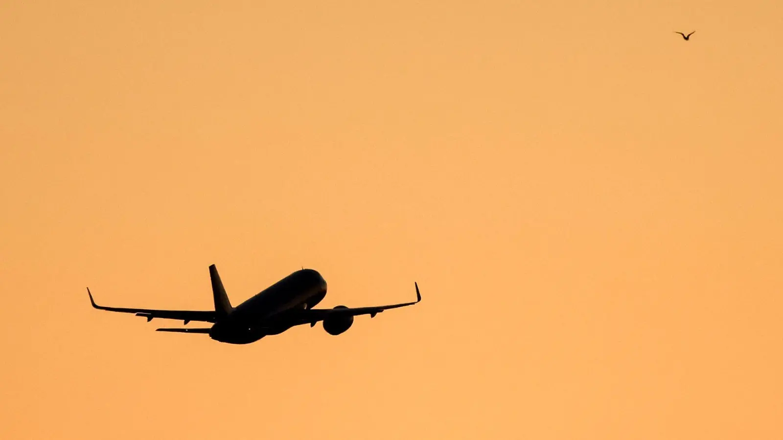 Das Paar soll sich auf dem Flug zwischen Panama und Argentinien kennengelernt haben. (Symbolbild)  (Foto: Jan Woitas/dpa)