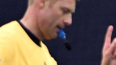 Erhielt viel Kritik vom FC Bayern: Schiedsrichter Christian Dingert. (Foto: Federico Gambarini/dpa)