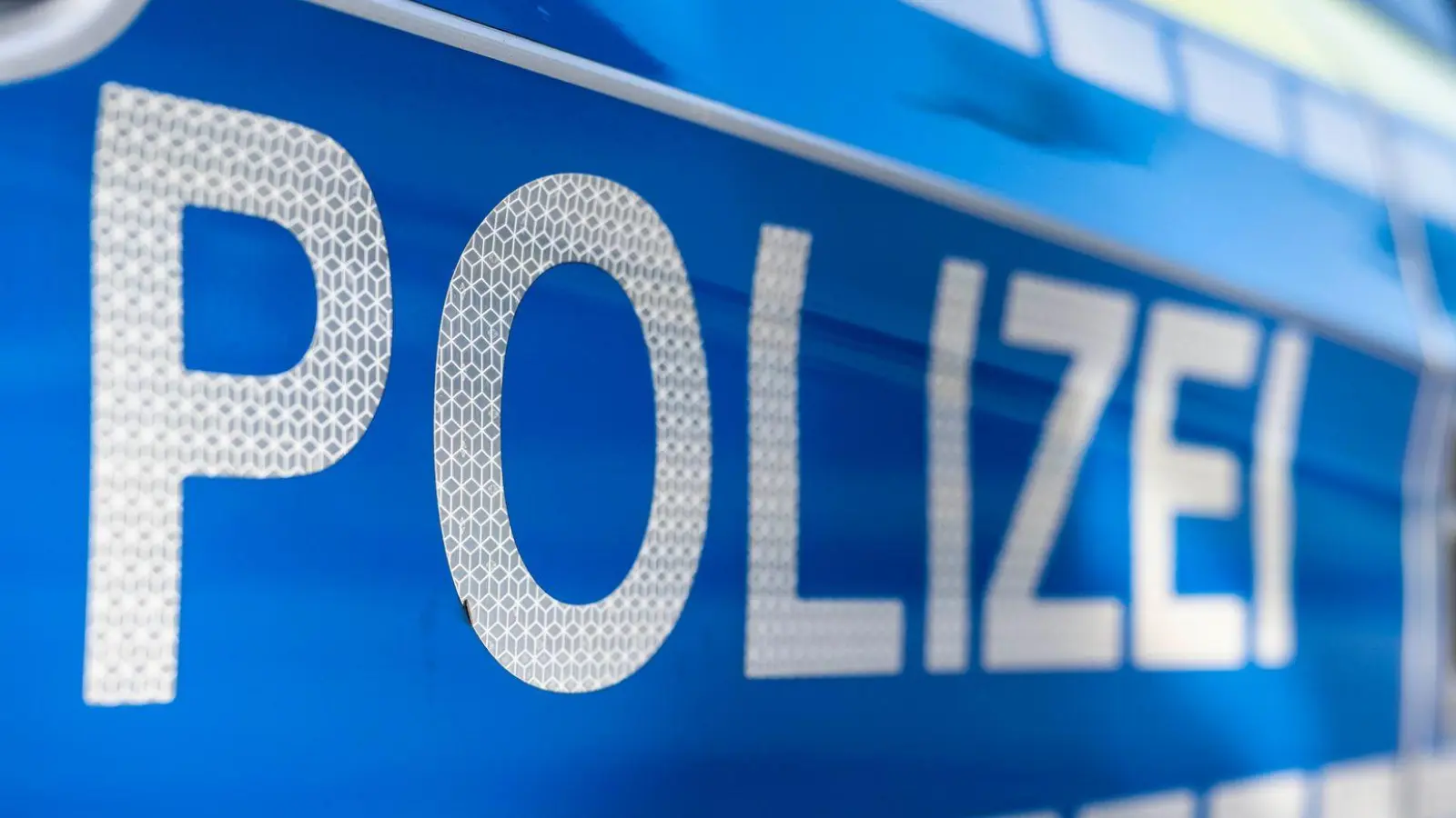 Die Kriminalpolizei ermittelt zu dem ungewöhnlichen Diebstahl und sucht nach Zeugen. (Symbolbild) (Foto: David Inderlied/dpa)