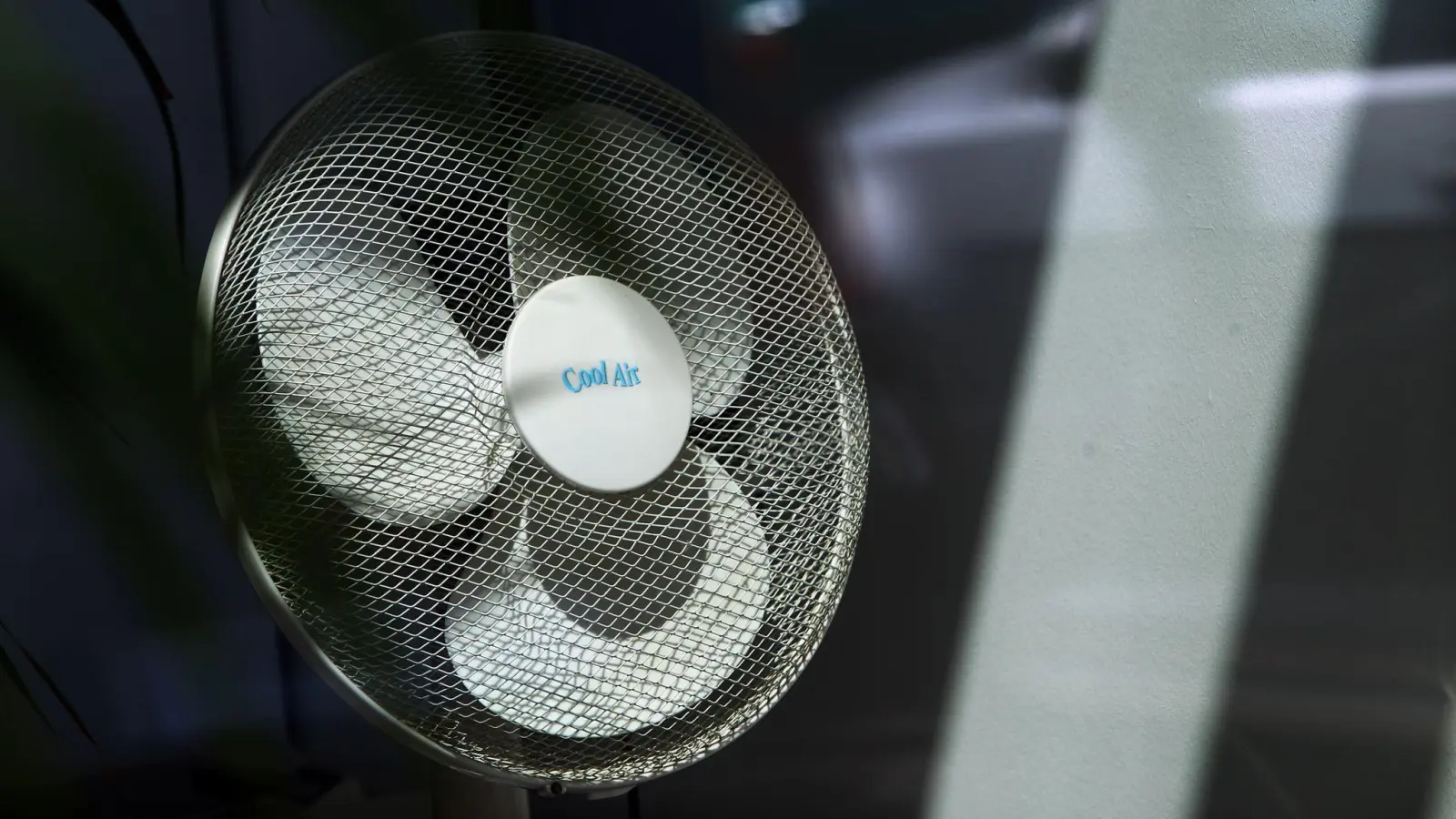 Ventilatoren schaffen kurzfristig Abhilfe. Doch sie haben auch Nachteile. (Foto: Karl-Josef Hildenbrand/dpa/dpa-tmn)