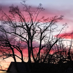 Farbenspiel - gesehen in Ottenhofen (Foto: Anita Kuboth)