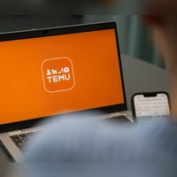 Temu gehört zu den beliebtesten Shoppingplattformen im Netz - steht aber immer wieder in der Kritik. (Symbolbild) (Foto: Hannes P Albert/dpa)