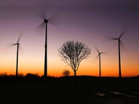 Schattenspiele im Wind - gesehen bei Lichtenau. (Foto: Thomas Göppner)