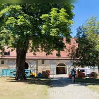 Die Reichsstadthalle wird gerade grundlegend saniert. Eigentlich soll hier 2028 die Bayerische Landesausstellung mit dem Thema „Kinder im Mittelalter” stattfinden. (Foto: Clarissa Kleinschrot)