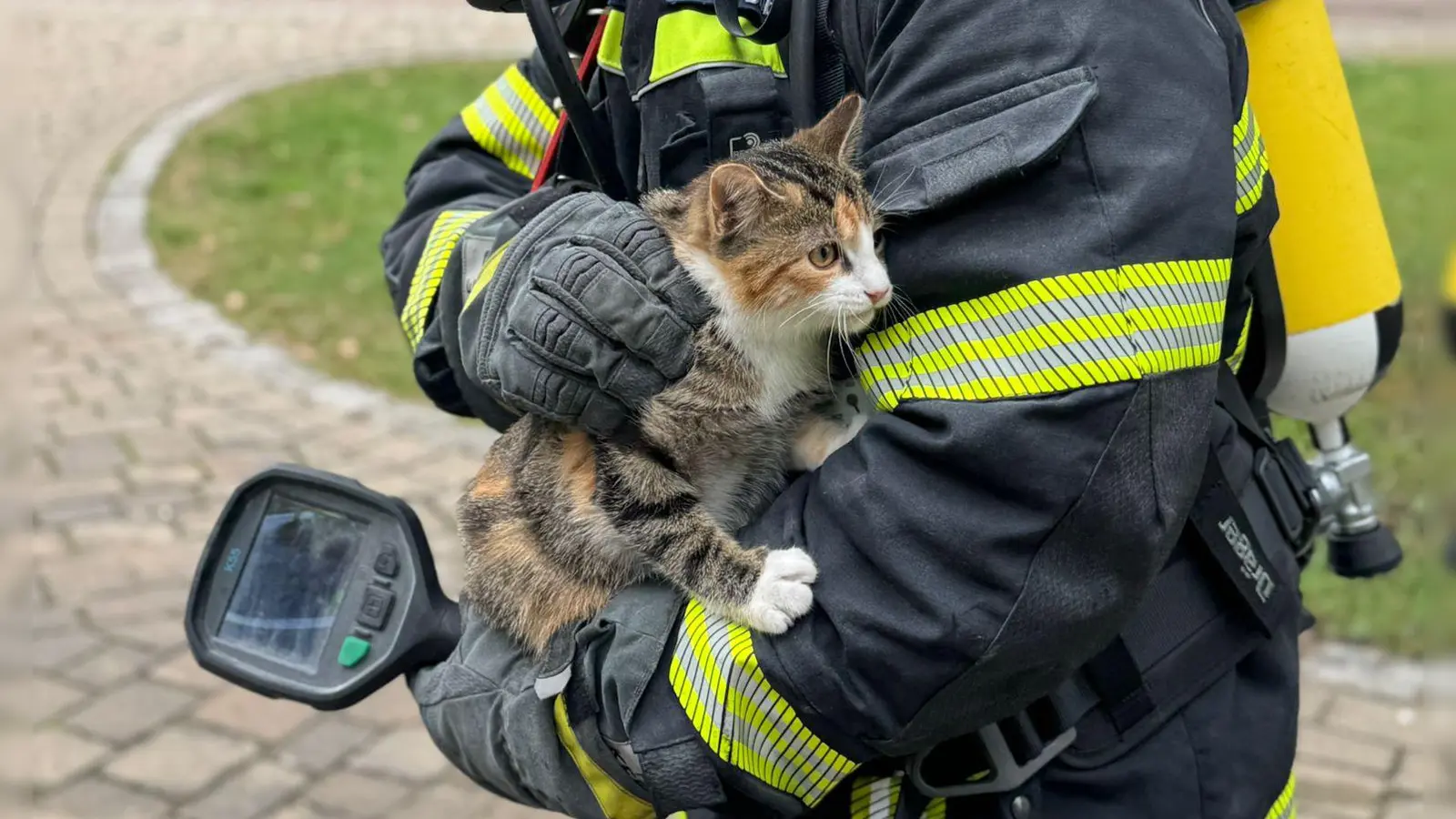 Eine Katze konnte bei einem Brand in Ergersheim gerettet werden. (Foto: Feuerwehr Bad Windsheim)