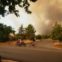 Feuer im Anmarsch in der Gironde und les Landes: Damit man nicht überrascht wird, rät das Auswärtige Amt, die lokalen Warneinrichtungen zu nutzen. (Foto: Caroline Blumberg/AP/dpa-tmn)