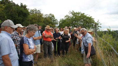 Heinrich Beigel erklärte den rund 80 Exkursionsteilnehmern viel Wissenswertes über die Flora und Fauna der Weinberge bei Ickelheim. (Foto: Hans-Bernd Glanz)