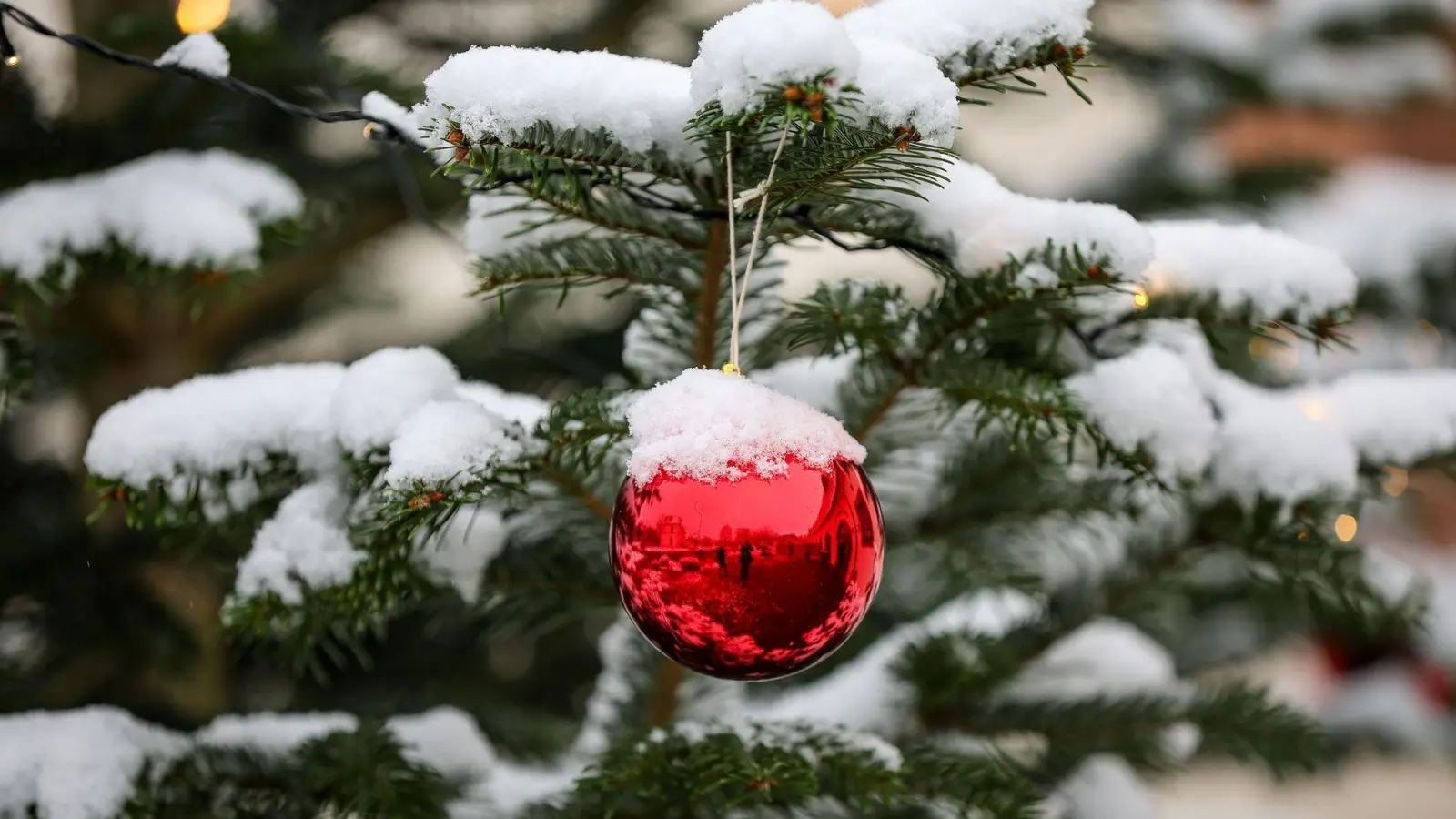 Verschneite Dächer und Bäume sind wohl auch diese Weihnachten nicht oft in Deutschland zu sehen. (Symbolbild) (Foto: Jan Woitas/dpa)