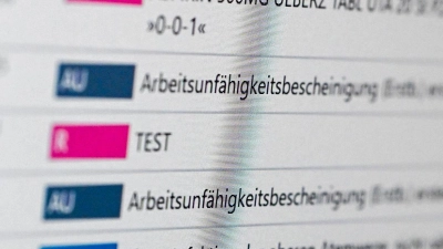 So könnte die elektronische Patientenakte aussehen. (Foto: Jens Kalaene/dpa)