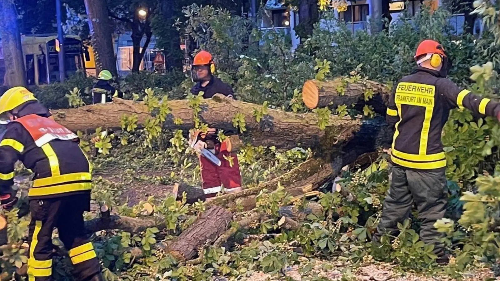 Ein Unwetter ist über Deutschland hinweggefegt; es gibt Verletzte und Schäden. (Foto: Mike Seeboth/dpa)